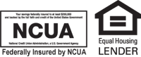 NCUA_EHLbug_black_LgNoBg