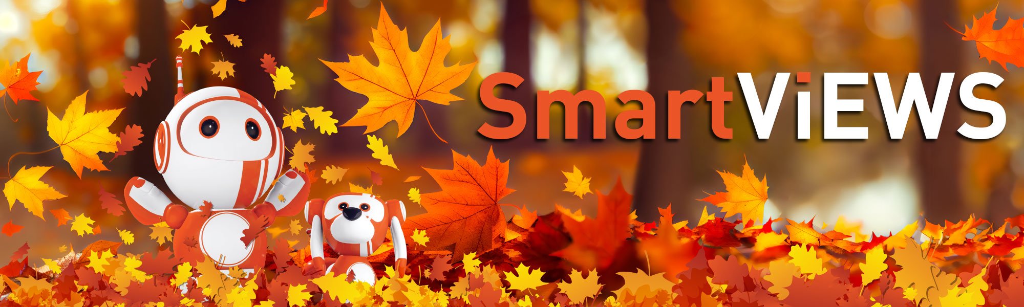 Smart_Views_Fall_600x2000-2